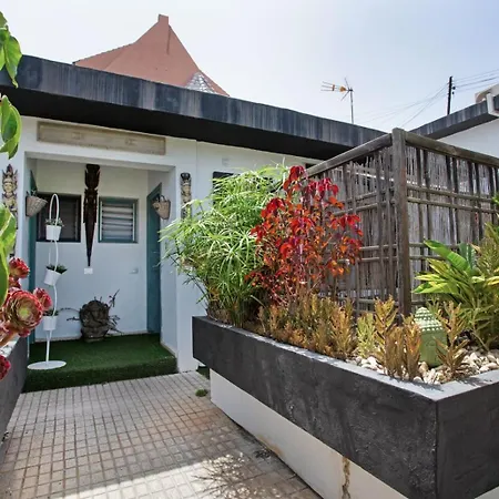 Estudio Appartamento La Laguna (Tenerife)
