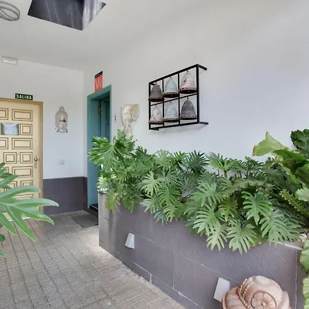 Apartmán Estudio